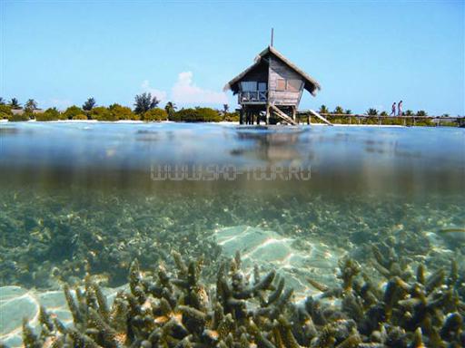 Номер Honeymoon Bungalow