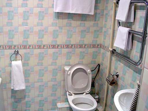 Санузел в люксе