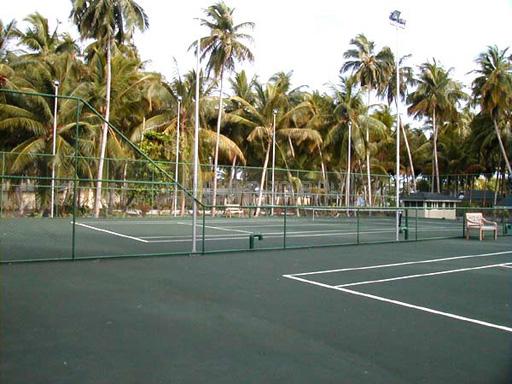 Теннисные корты