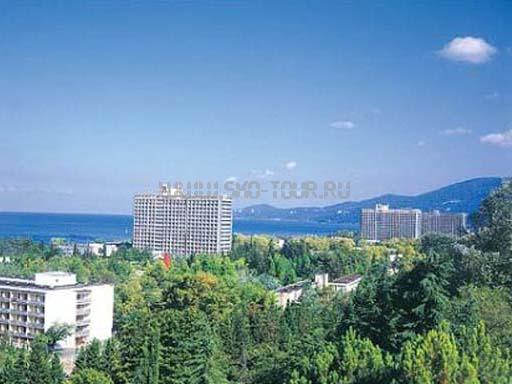 Вид из окна