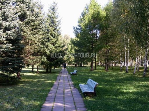 На территории