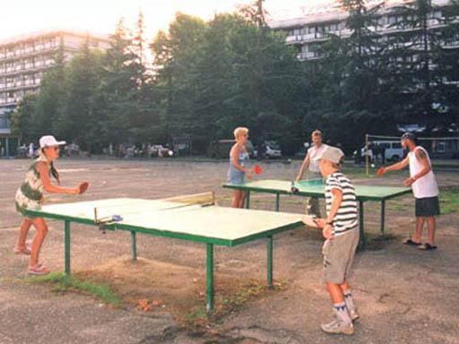 Настольный теннис