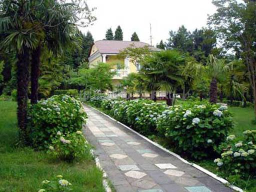 Территория