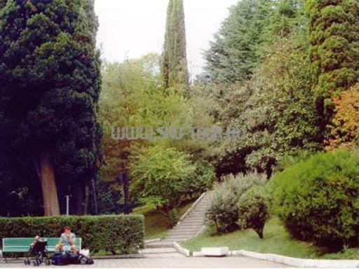 Территория