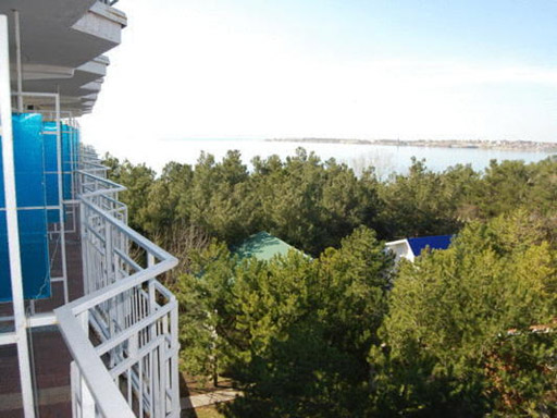 Территория