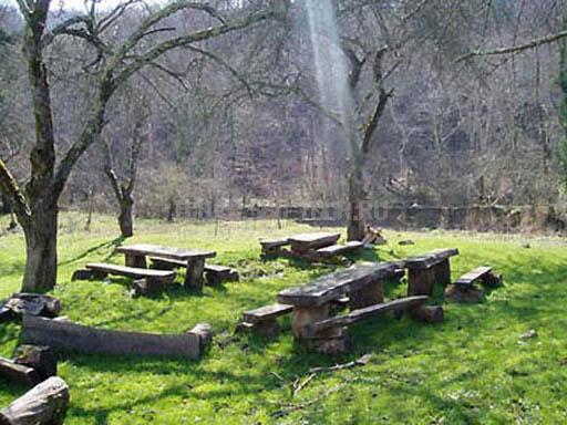 Территория