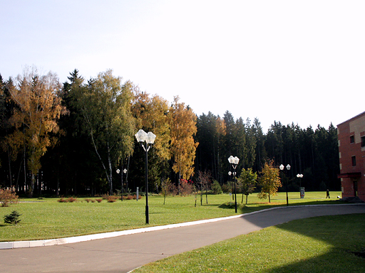 Территория