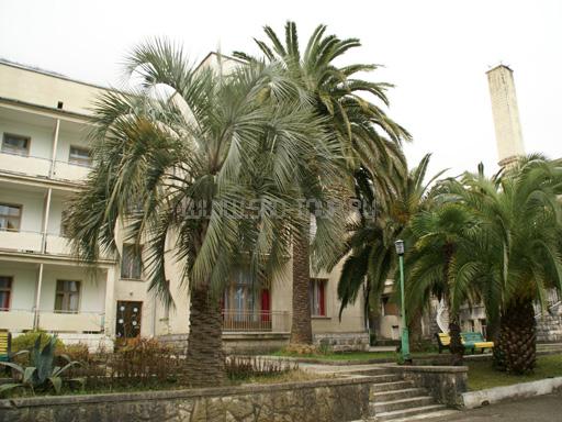 Внешний вид