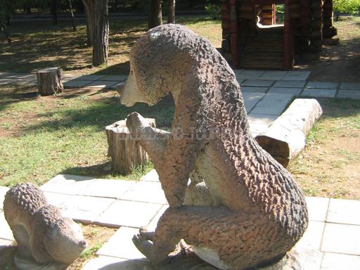 Территория