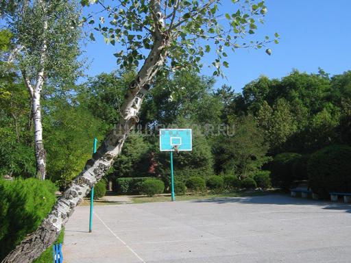 Баскетбольная, волейбольная площадки