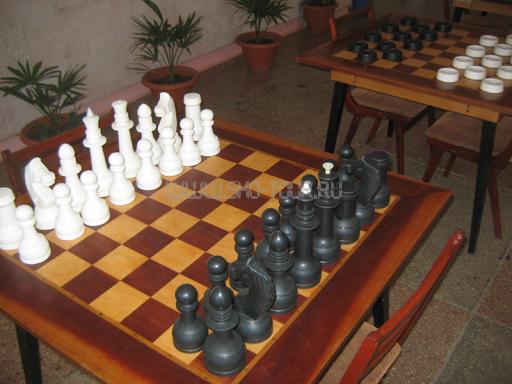 Шахматы, шашки