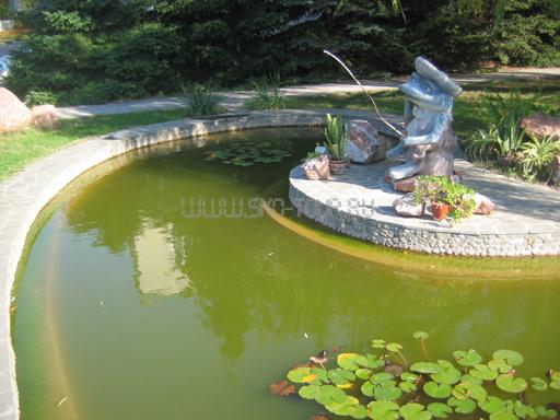 Территория