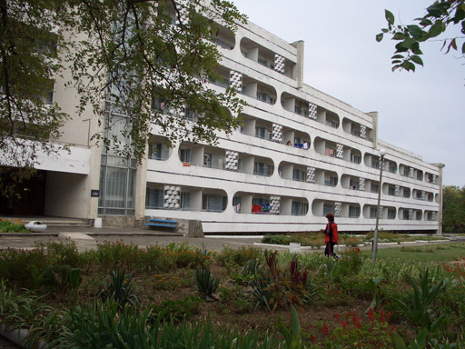 Внешний вид