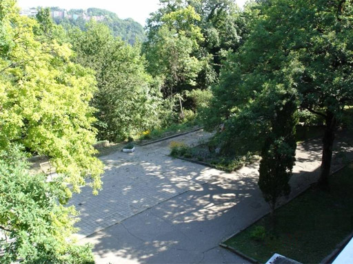 Вид из окна