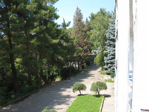 Вид из окна