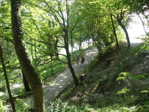 Территория