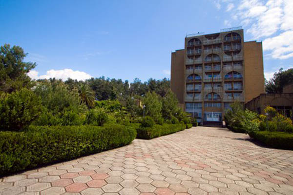 пансионат «Сосновая роща» Пицунда