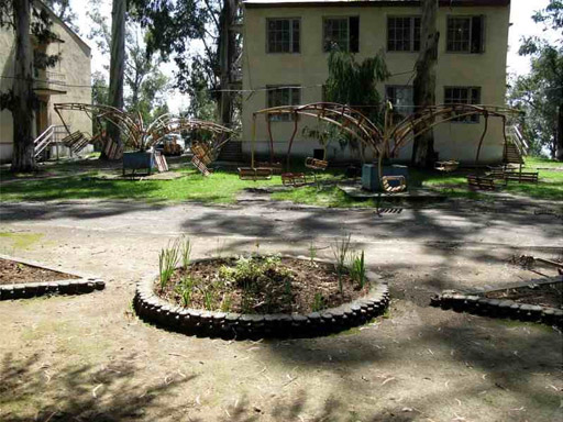 Территория