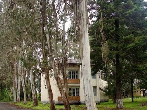 Территория