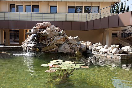 Санаторий «Золотой колос» Алушта