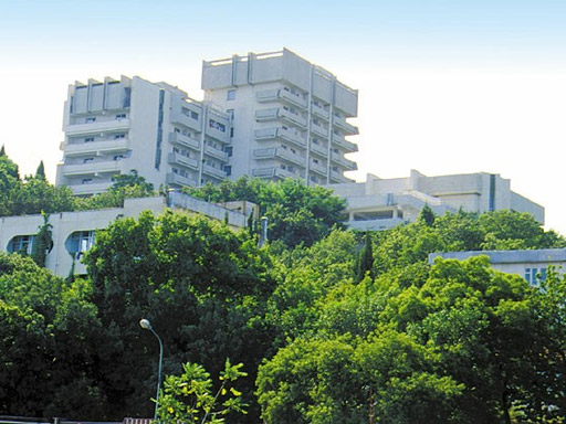 пансионат «Дубна» Алушта