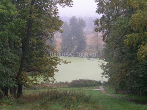 Территория