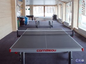 Солнечный СПА отель все включено Настольный теннис