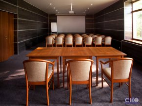 Солнечный СПА отель все включено Конференц-зал