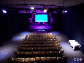 Солнечный СПА отель все включено Киноконцертный зал