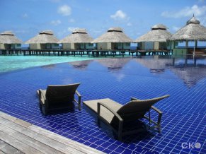 Отель Chaaya Reef Ellaidhoo 4*