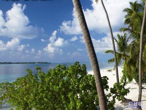 Отель Club Faru 4 *