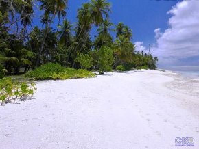 Отель Club Faru 4 *