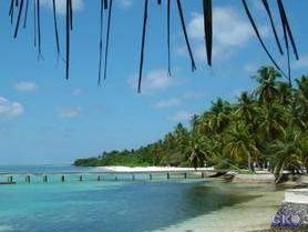 Отель Club Faru 4 *