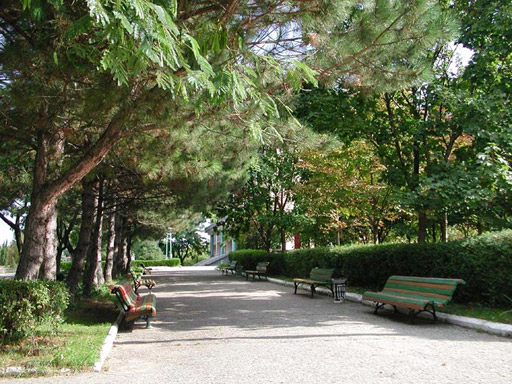 Территория