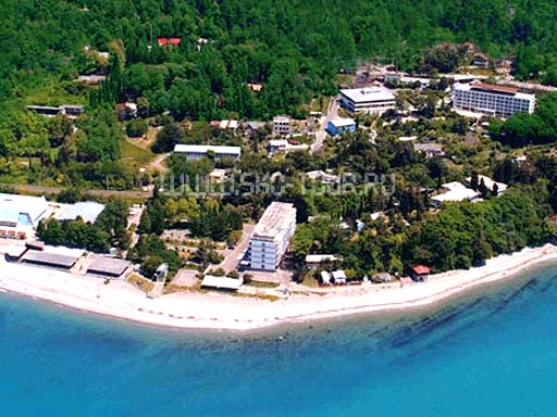 Внешний вид