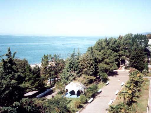 Территория