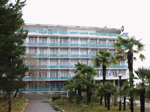 Внешний вид