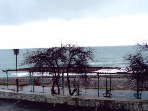 Территория