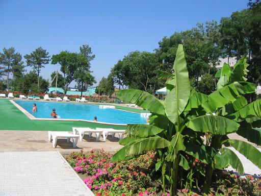 Бассейн (200 кв. м)