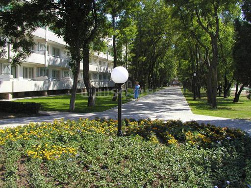 Территория. Корпус