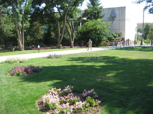 Территория