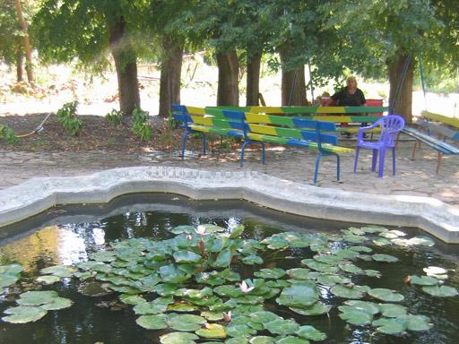 Территория