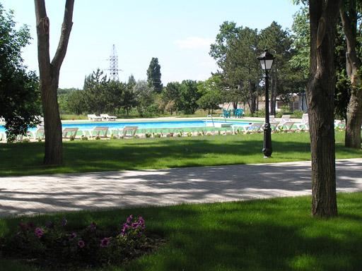 Территория. Бассейн