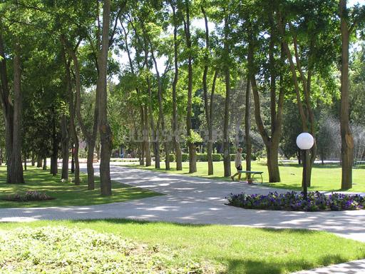 Территория