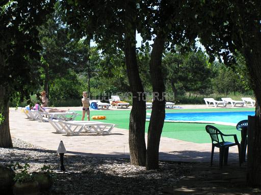 Территория. Бассейн