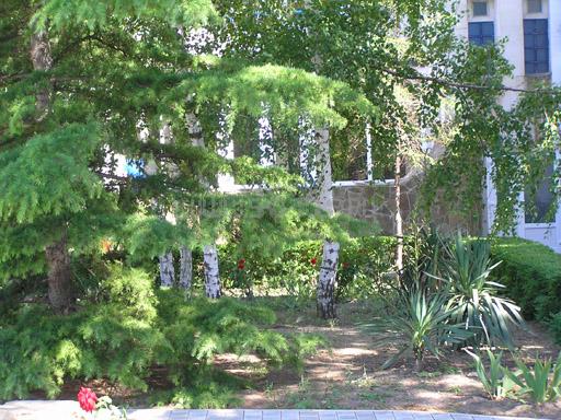 Территория