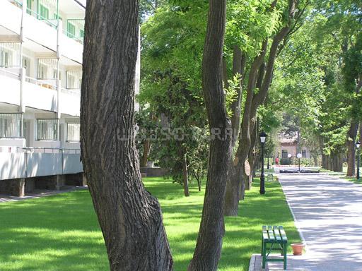 Территория. Корпус