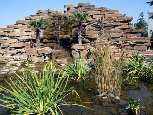 На территории