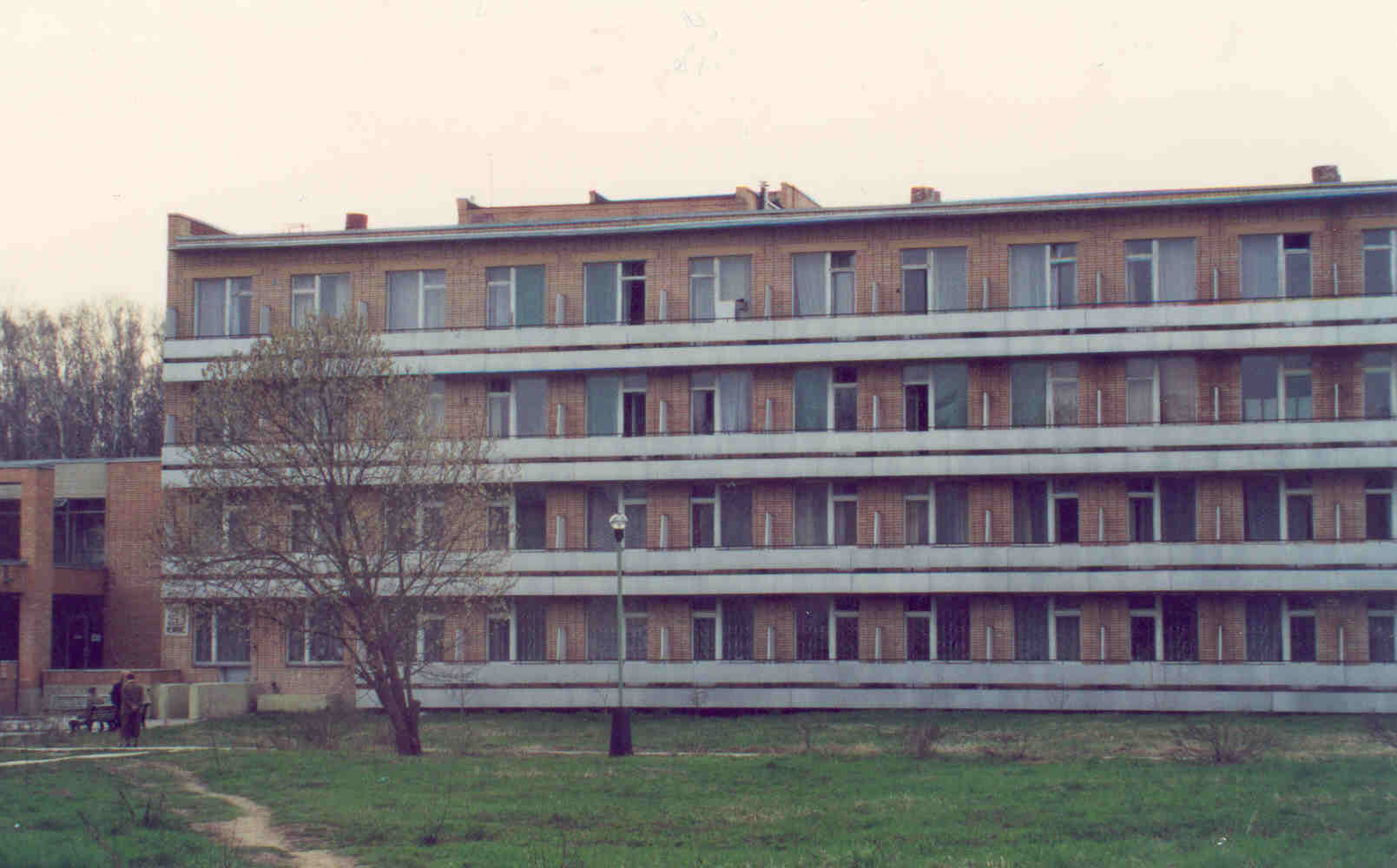 Внешний вид