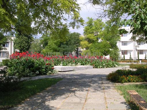 На территории